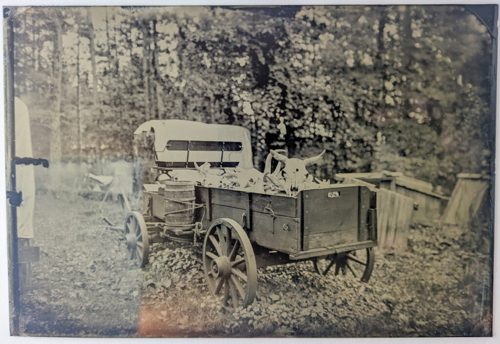 Antique Horse Drawn Wagon Bones Tintype photograph Red Rabbit Photography